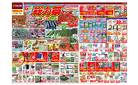 GW 総力祭（4月24日～5月6日）