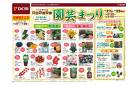 DCM那珂店　花木センター　園芸まつり（4月27日～4月29日）