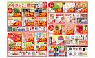 食品_パルコシティ限定