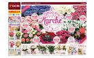 Mother’s Day Marche　マザーズディマルシェ　5月11日　日曜日は母の日です（4月26日～5月11日）