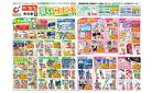 4/29号