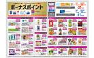 ５月１日（木）〜５月３１日（土）