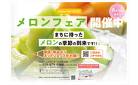 6月末まで「メロンフェア」開催中！ネットで注文するとお得です！