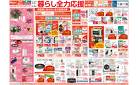 【25/5/8 ~ 5/19】暮らし全力応援