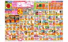 5/11(日)〜5/17(土)