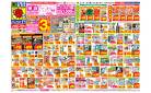 5/11(日)〜5/17(土)