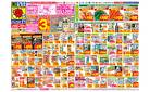 5/11(日)～5/17(土)