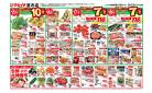 マルイチ宮古店5月15日号