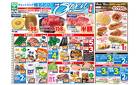 5月14日(水)～5月16日(金)号