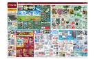 困りごとバッサリ解決!! めんどぉ〜い夏の雑草対策（6月5日〜6月16日）