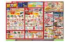 6/7号　総力祭/梅集めました