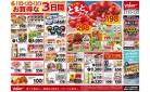 6月11日(水)号