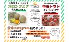 どきどきネットショップで「メロンフェア」＆かたおかCLUBさんの「中玉トマト」期間限定販売中！