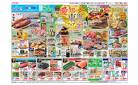 6月20日(金)-22日(日）愛知・東海フェア