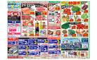 6月21日(土)～6月23日(月)号