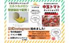 ネットショップ「エルソルメロン」を特別価格で販売中！