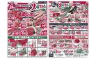 6月24日(火)限り
