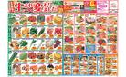 今週のお買い得商品をチェック！