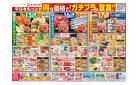 7/15号チラシ