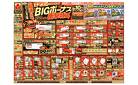 BIGボーナス 衝撃特価！