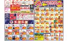 今週のお買い得商品をチェック！