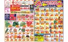 今週のお買い得商品をチェック！