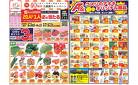 今週のお買い得商品をチェック！