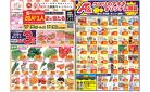 今週のお買い得商品をチェック！