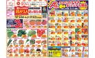 今週のお買い得商品をチェック！