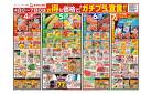 8/4号チラシ