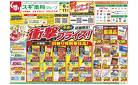 チラシのご案内