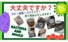 大丈夫ですか？