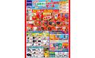ノジマ8/9号　静岡県店舗