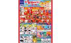 ノジマ8/9号　新潟県店舗