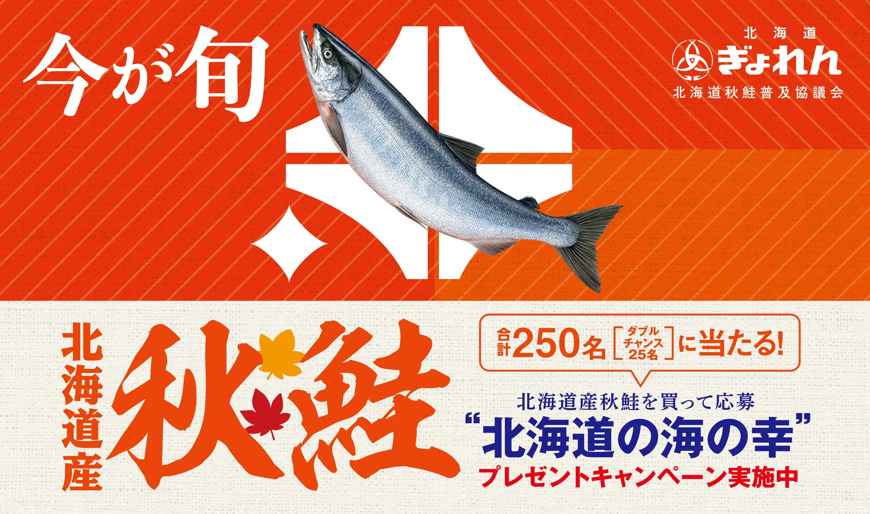 kiuhou0350　秋鮭 今が旬！北海道の秋鮭の最新チラシ・店舗情報｜無料で見られる