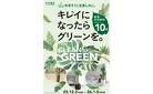 観葉植物ポイント10倍 12/7号