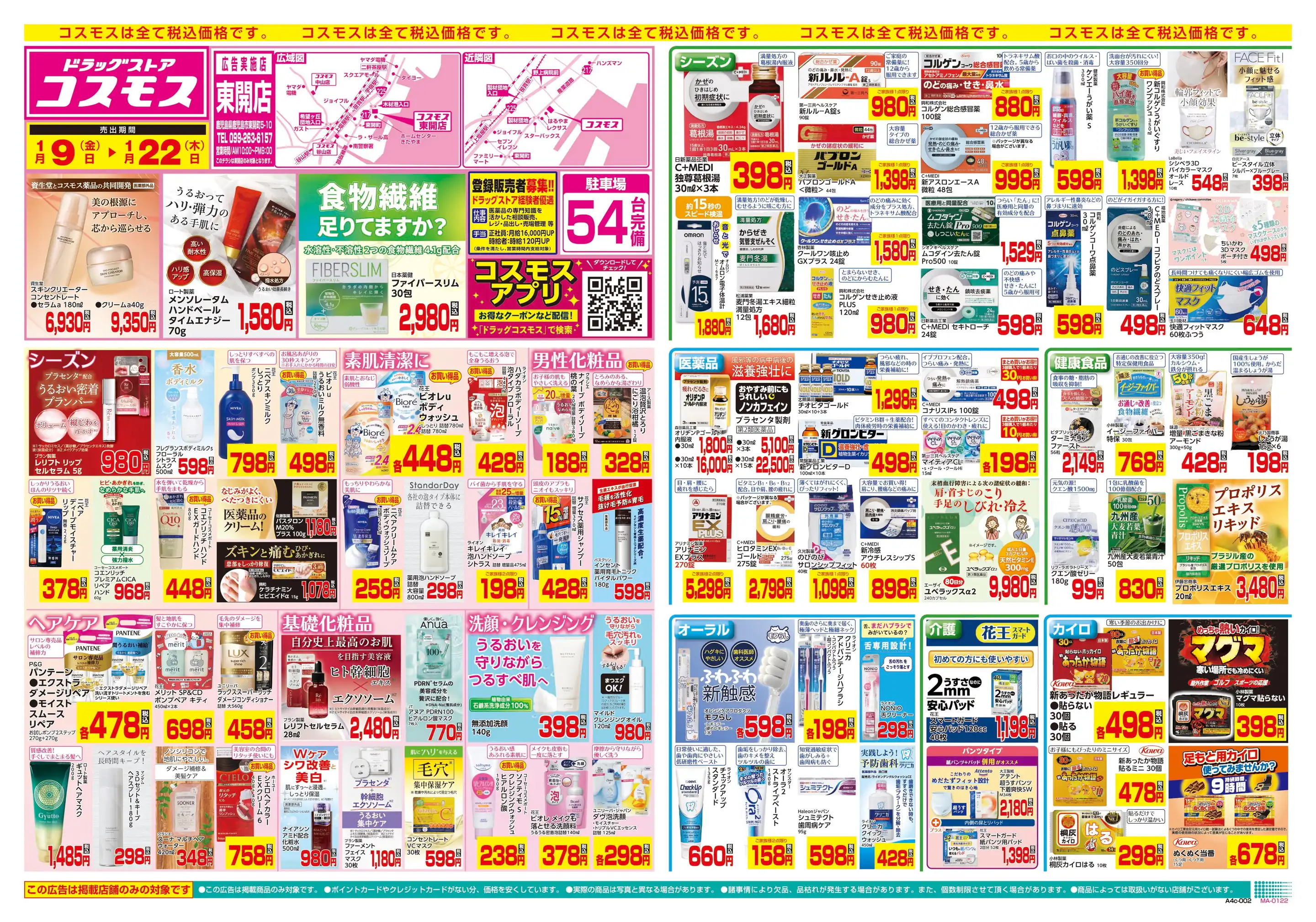 アイビーコスモス　などなどブランドまとめ売り 生花】コスモス ピコティ【OT】信州うえだほか - 花材通販はなどんや