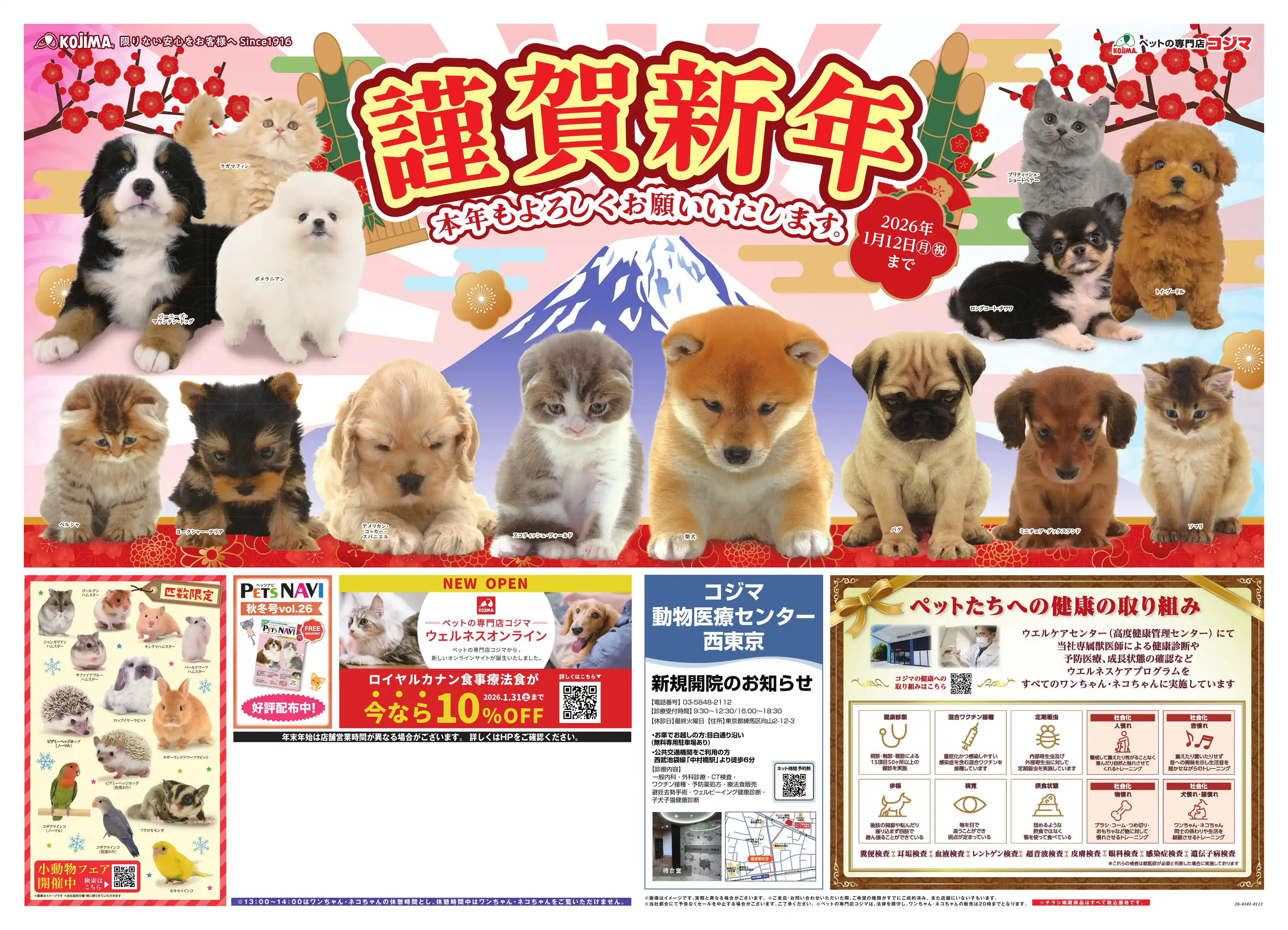 ※いぬ様専門ページ ペットの専門店コジマ/目黒碑文谷店の最新チラシ・店舗情報｜無料で見