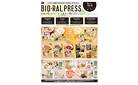 BIORAL PRESS1月号