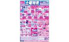 1/24　土曜特売