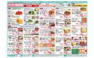 今週の商品情報紙