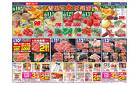 2/10(火)～2/13(金)お買い得チラシ