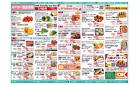 今週の商品情報紙
