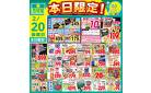 2/20日替り