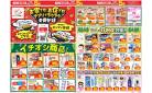 今週のお買い得商品をチェック！