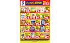 3月のぶっとおし超特価(一例)2