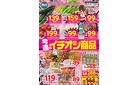 ２／２８号　今週のおすすめ！！