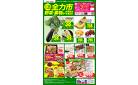 2/26号 全力市 野菜・果物
