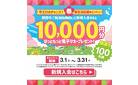 Myhottomotto新規入会キャンペーン実施中！抽選で100名様に 10,000円分の電子マネーが当たる！