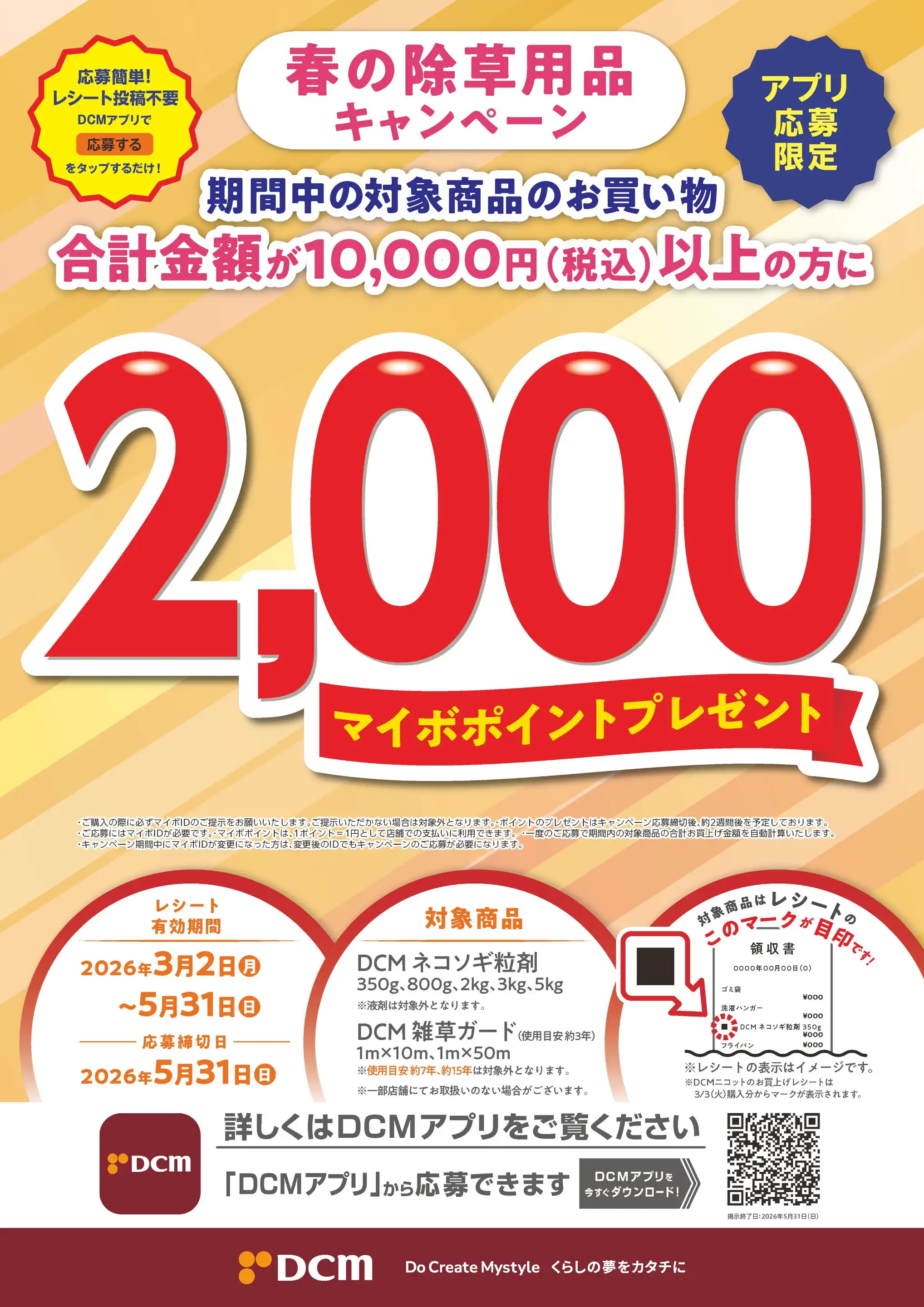 image1.webp